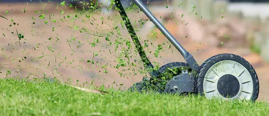 Curare il giardino, come scegliere tagliasiepi e tosaerba