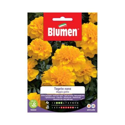 Graines de Souci Nain Double Jaune Blumen