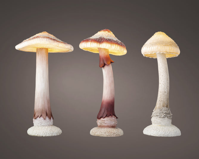 Mushroom Pls Assortiment à Piles - Lumière LED Fixe - 3 Couleurs - Dimensions 50x55x88cm, 47x53x88cm, 35x35x84cm