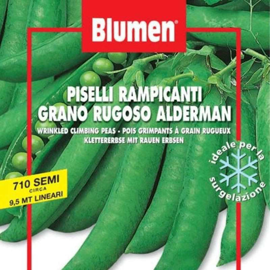 Graines de pois grimpants Gran Rugoso Alderm en sac