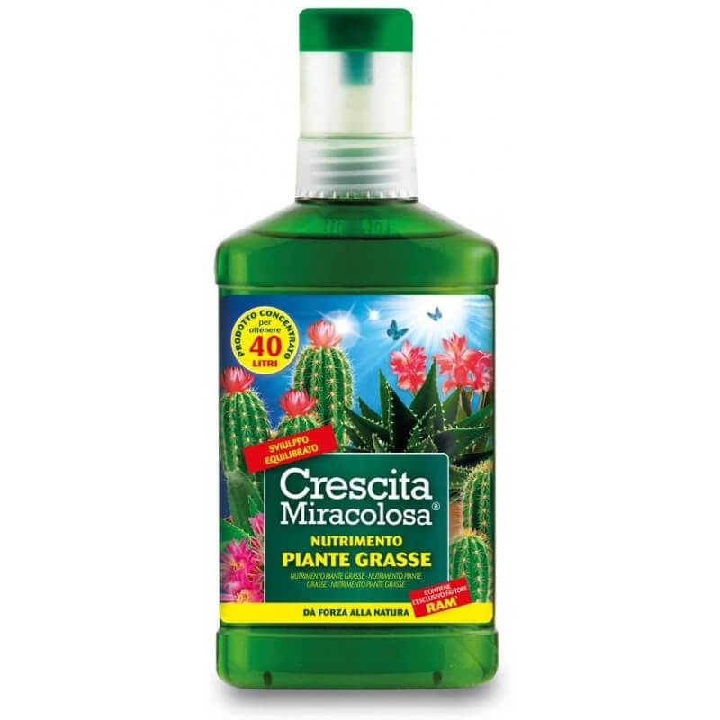 Cactus à croissance miraculeuse 200Ml C025001