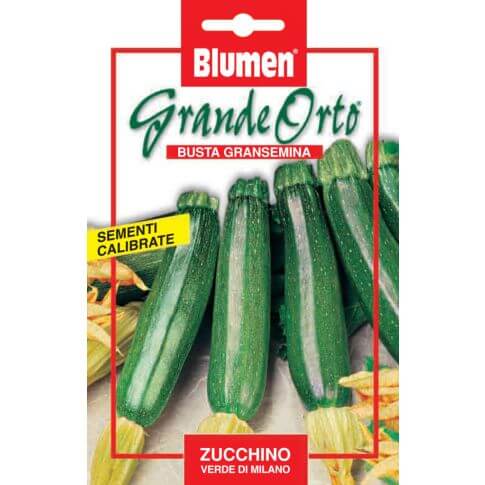 Graines de courgettes vertes de Milan