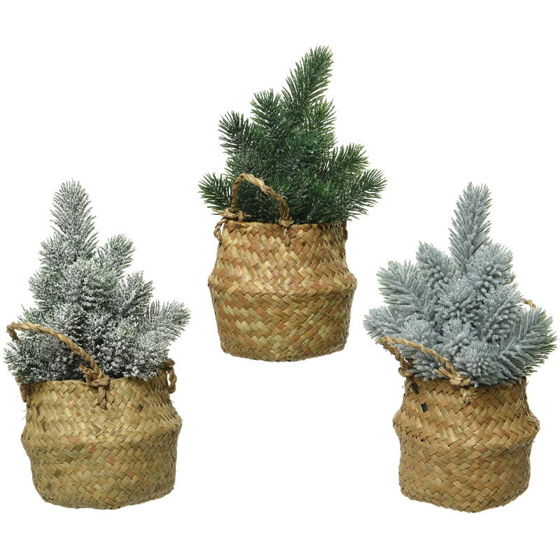 Mini sapins assortis H 24 cm