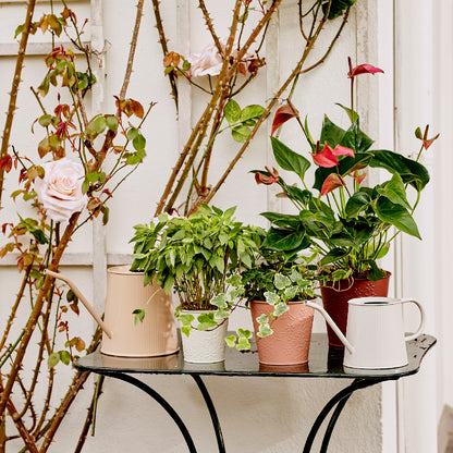 Jardinière en zinc pour l'intérieur et l'extérieur