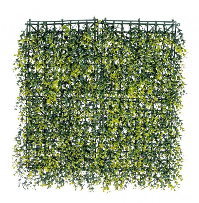 Mur synthétique Pousses de Buxus en Polyéthylène 50x50 cm