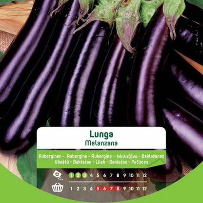 Graines d'aubergines longues en sachet