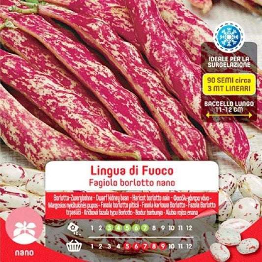 Graines de haricots Borlotto Nano Lingua Di Fuoco en sachet maxi