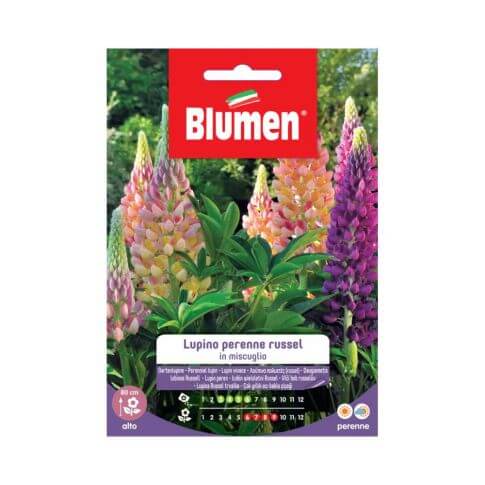 Graines de lupin vivaces Russel Mix Blumen