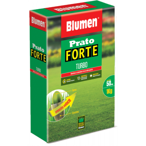 Graines Prato Forte Turbo - 1 kg