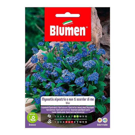 Graines de Myosotis Alpestris ou Myosotis bleu en sac