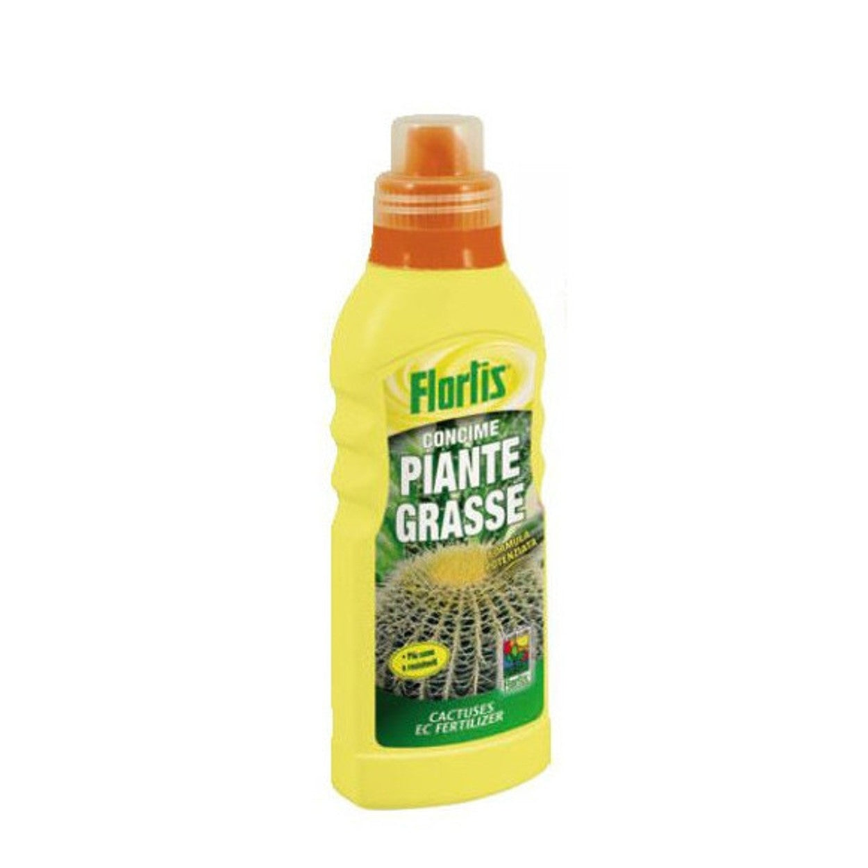 Engrais Miracle-Gro pour plantes succulentes, format 570g