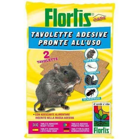 Pièges à souris adhésifs