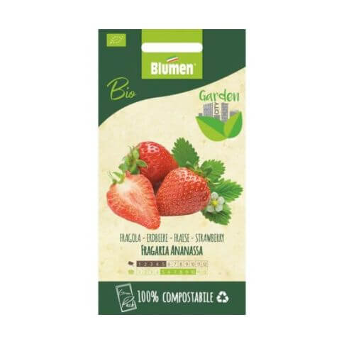 Graines de fraises biologiques