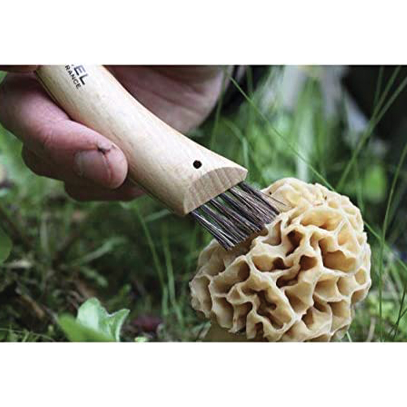 Couteau à champignons avec manche en bois