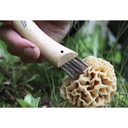 Couteau à champignons avec manche en bois