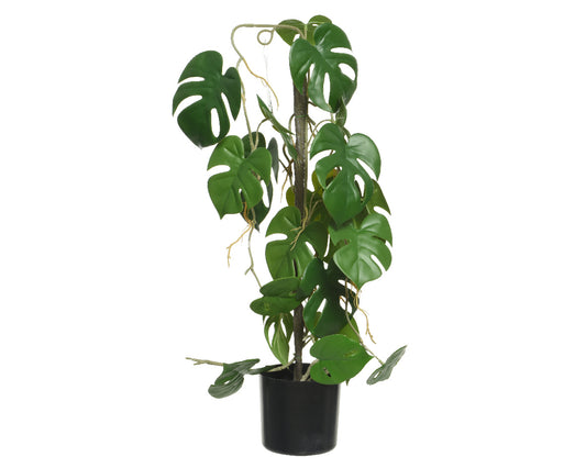 Plante Monstera en polyester avec pot 31x20x63,5h cm
