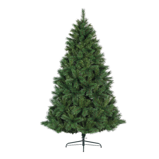 Sapin de Noël en pin de l'Ontario Ø152 x H 240 cm