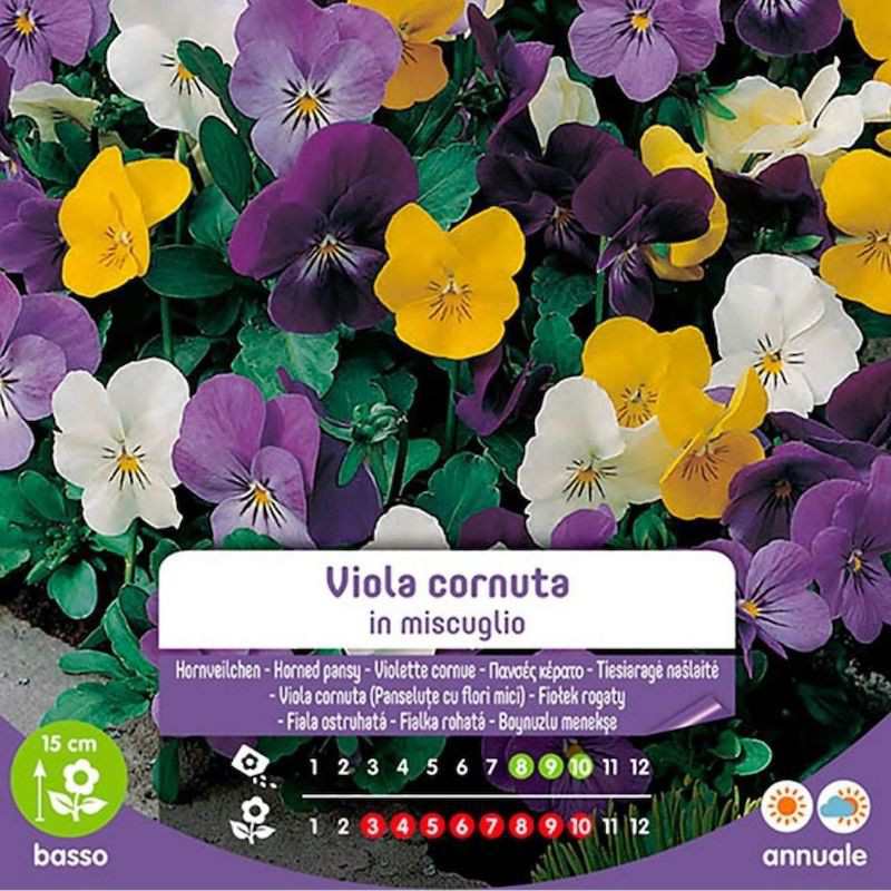 Mélange de graines de Viola Cornuta en sac