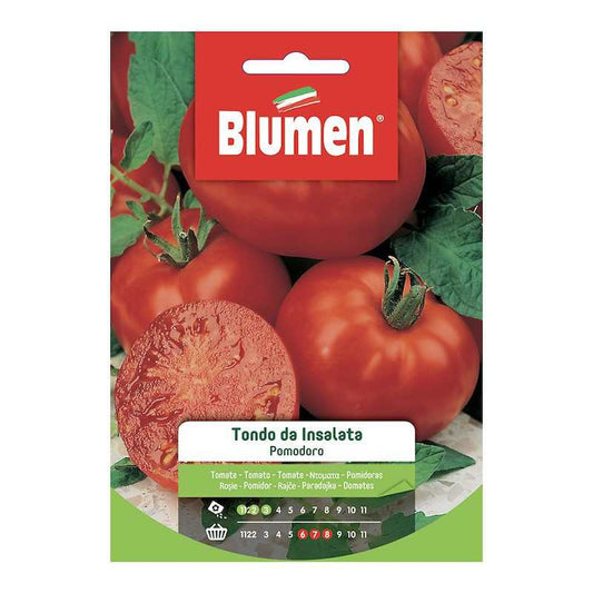 Graines de tomates à salade ronde en sachet