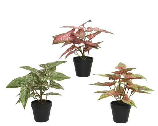 Plante en polyester avec pot 35x35x37h cm