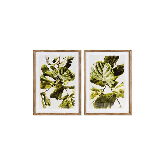 Cadre de plantes Dkd Home Decor (50 x 2,5 x 70 cm)