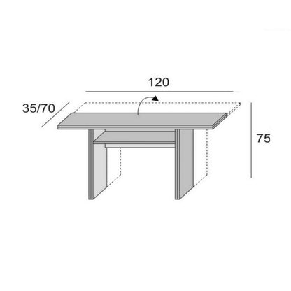 Table console pliante Mélèze blanc IKEBANA 120x40x h76 cm