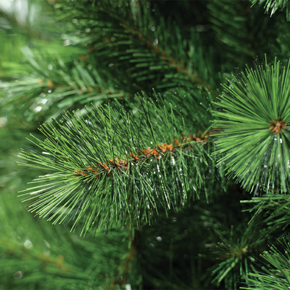 Sapin de Noël en pin de l'Ontario Ø152 x H 240 cm