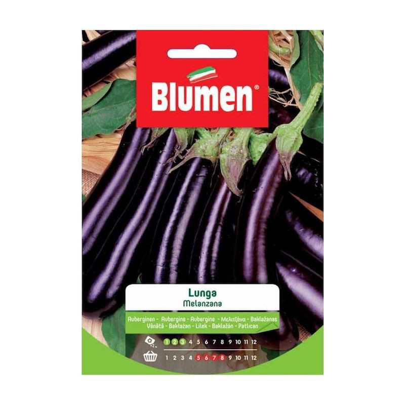 Graines d'aubergines longues en sachet