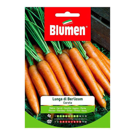 Graines de carotte longue Berlicum en sachet