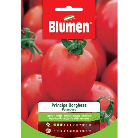 Graines de Tomate Principe Borghese Blumen