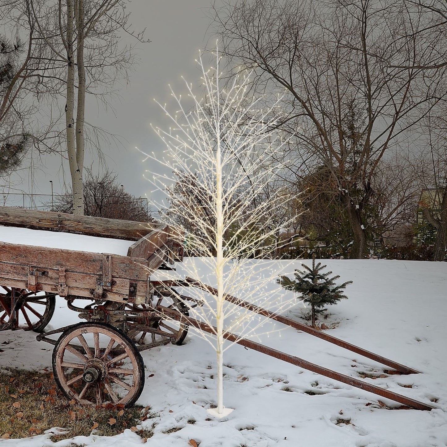 Albero di natale - Albero Natale Lotti 76310 TIGLIO Con 784 Microled Champagne