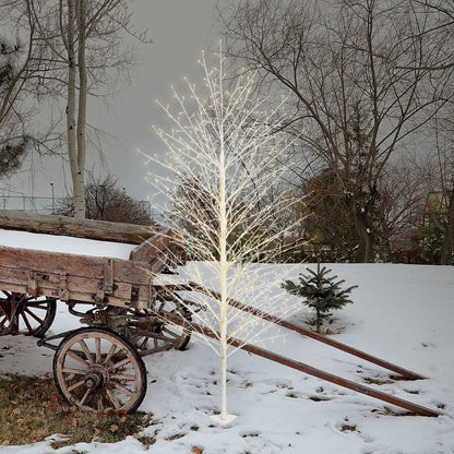 Albero di natale - Albero Natale Lotti 76310 TIGLIO Con 784 Microled Champagne